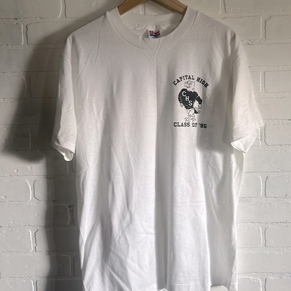 Hanes Other - CHS Capital High class of ‘95 single stitch tee shirt Sz. Large